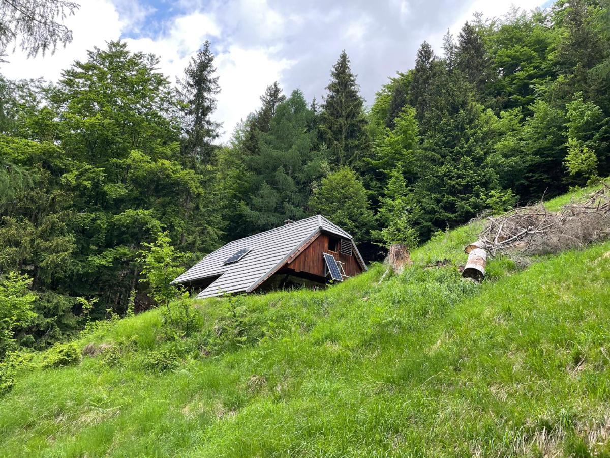 Architect'S Cottage - Serenity And Greenery In The Highlands Soča Exterior foto
